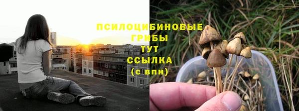 мяу мяу мука Елизово