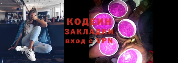 ешки Ельня