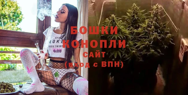 ешки Ельня