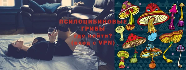 мяу мяу мука Елизово