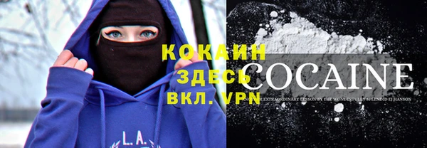 ешки Ельня