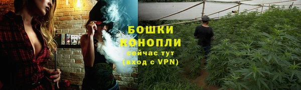 ешки Ельня