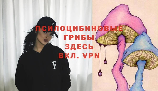 ешки Ельня