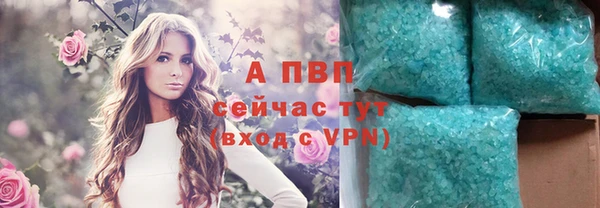 ешки Ельня